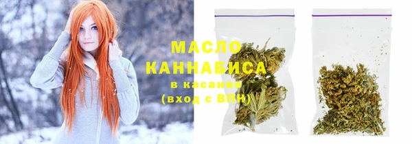 дмт Бородино