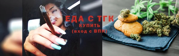 дмт Бородино