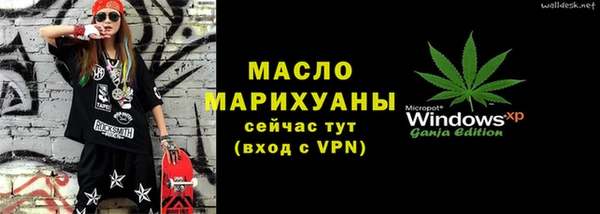 дмт Бородино