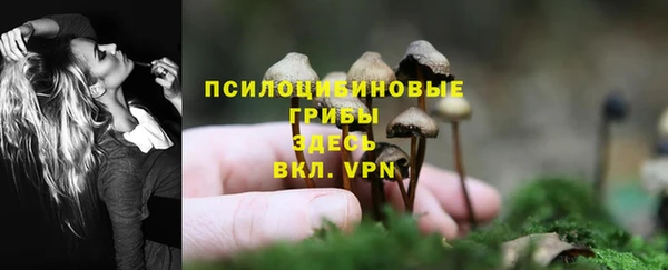 дмт Бородино