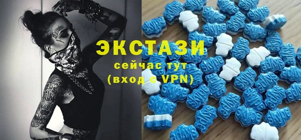 дмт Бородино