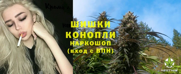 дмт Бородино