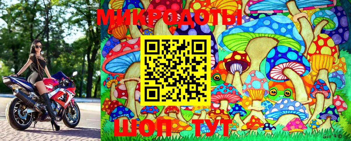 Псилоцибиновые грибы Cubensis Бутурлиновка