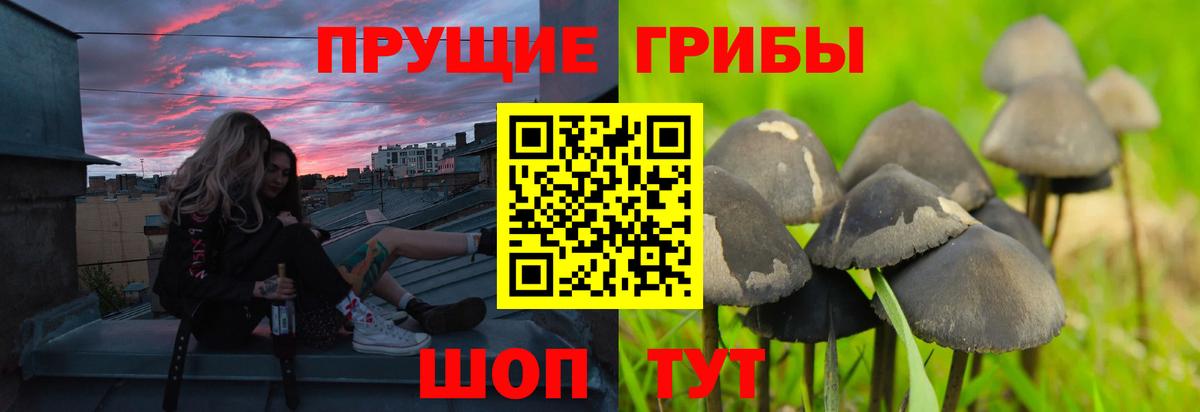 Псилоцибиновые грибы мухоморы  Вход с VPN  Бутурлиновка 